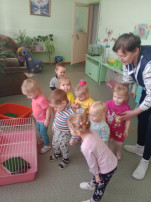 Знакомство с окружающим миром Знакомство с окружающим миром.